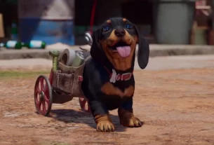 Гайд Far Cry 6 амиго: как получить компаньона-собаку-сосиску